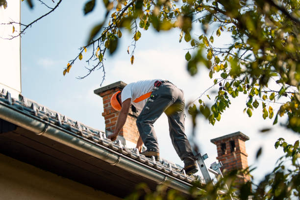 Best Roof Gutter Cleaning  in Marriott Slaterville, UT